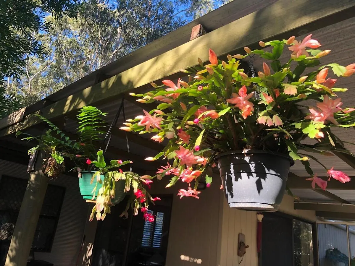 Bush N Beach Sunshine Coast Near Eumundi & Noosa Doonan Australia