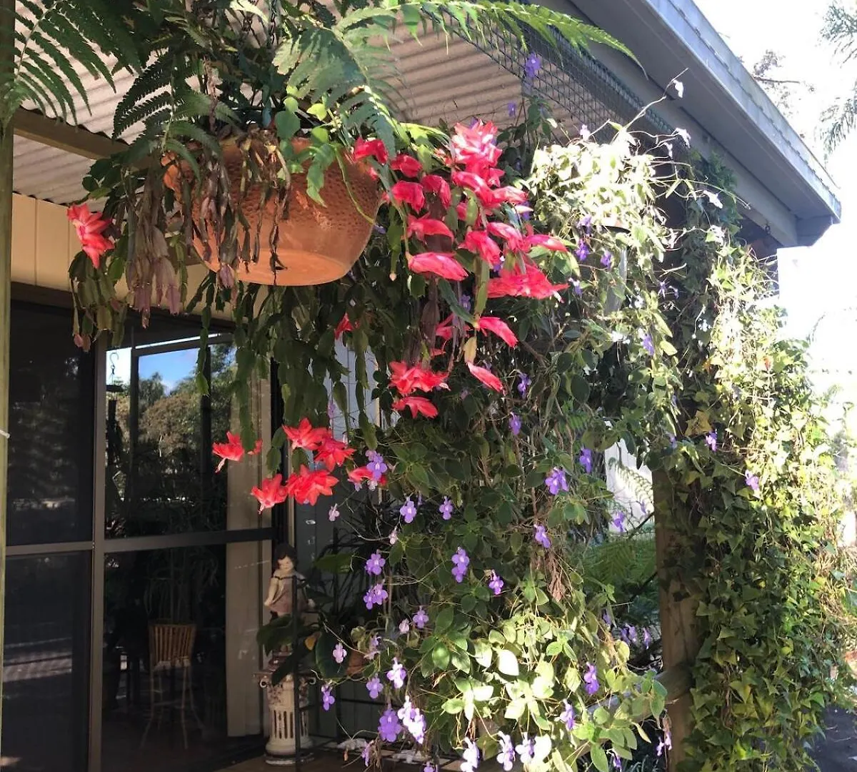 Feriehus Bush N Beach Sunshine Coast Near Eumundi & Noosa Doonan